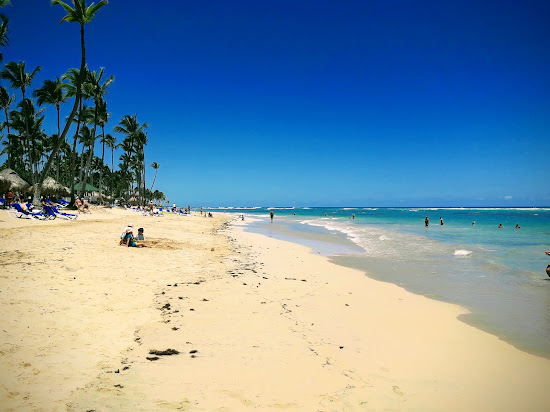 Praia da Palmeira