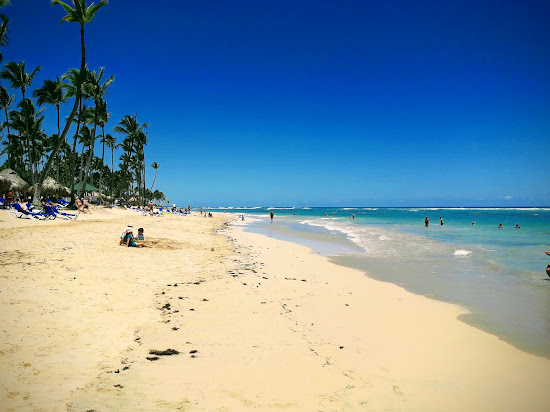 Palmera Plajı