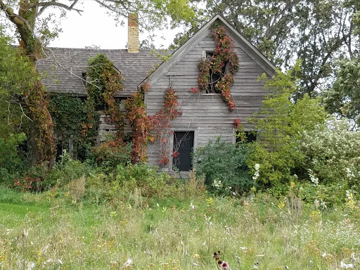 Golf Course «Wildflower Golf Course», reviews and photos, 19790 Co Hwy 20, Detroit Lakes, MN 56501, USA