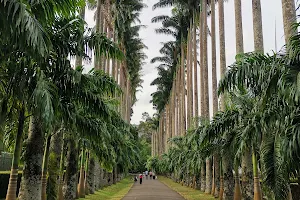 Royal Botanical Garden image