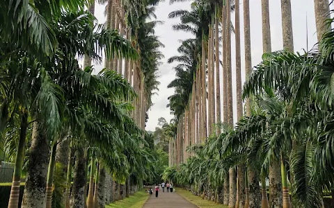 Royal Botanical Garden image