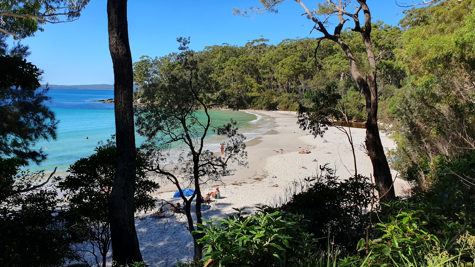 Blenheim Beach的照片 带有细腻的白色沙表面