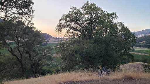 Winery «Jaxon Keys Winery & Distillery», reviews and photos, 10400 US-101, Hopland, CA 95449, USA