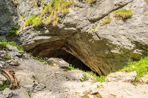 Peștera Cetățile Ponorului image