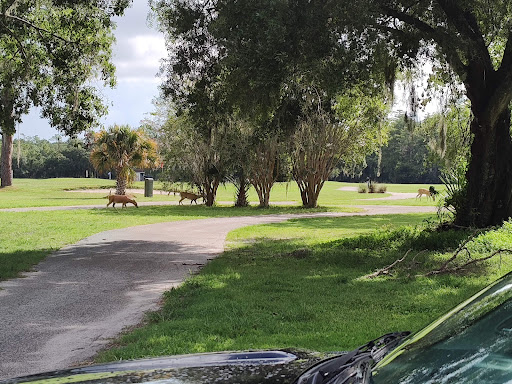Golf Club «Tarpon Woods Golf Club», reviews and photos, 1100 Tarpon Woods Blvd, Palm Harbor, FL 34685, USA