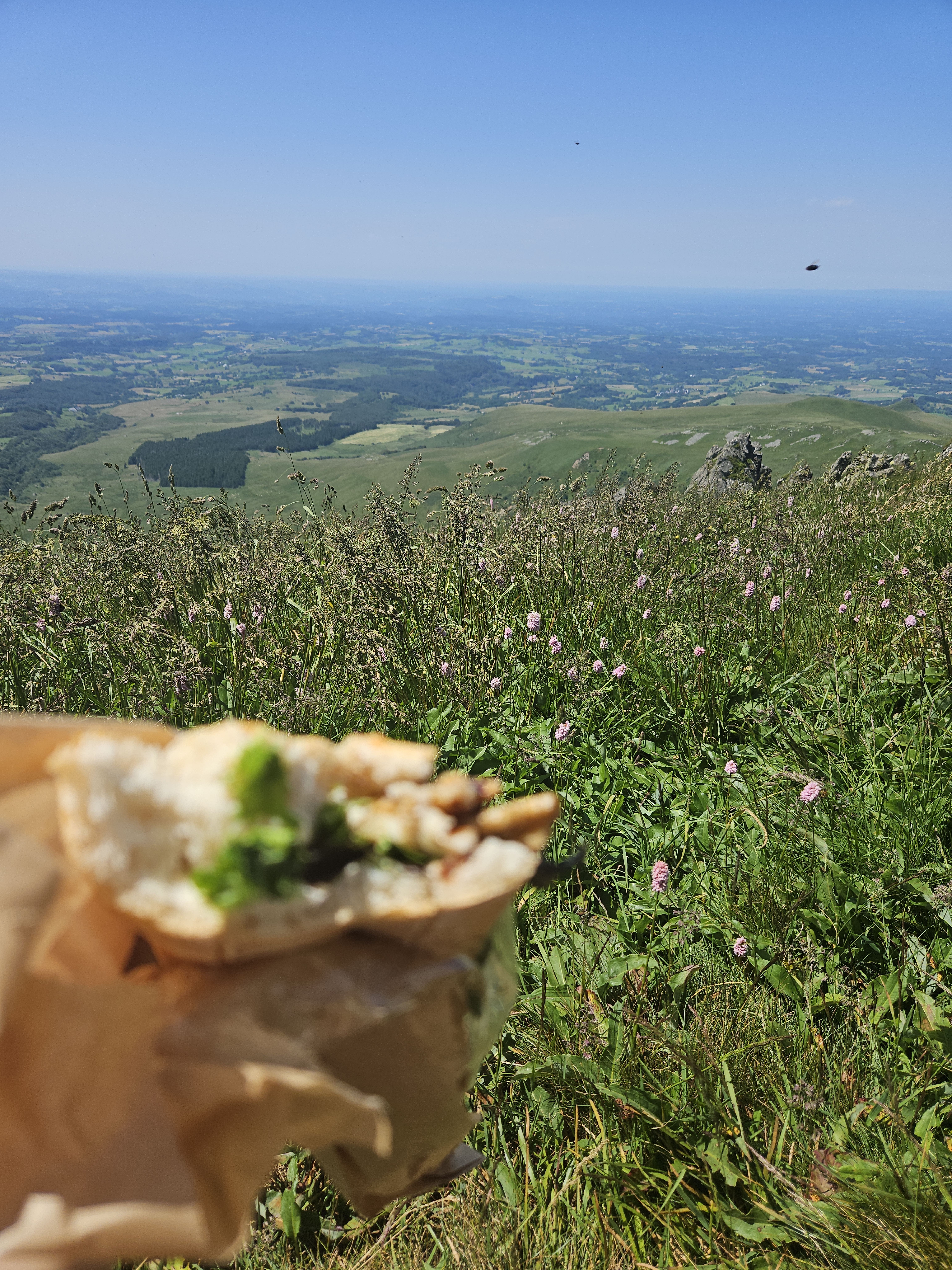 Photo n° 1 de l'avis de Sportif.l fait le 10/07/2023 à 16:44