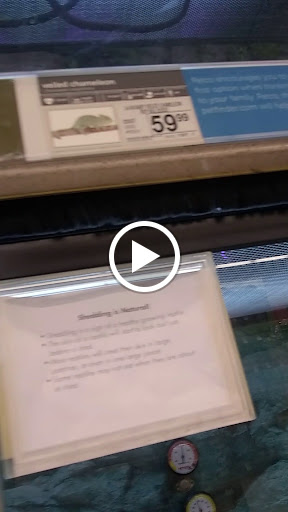 Pet Supply Store «Petco Animal Supplies», reviews and photos, 1808 Tamiami Trail a, Port Charlotte, FL 33948, USA