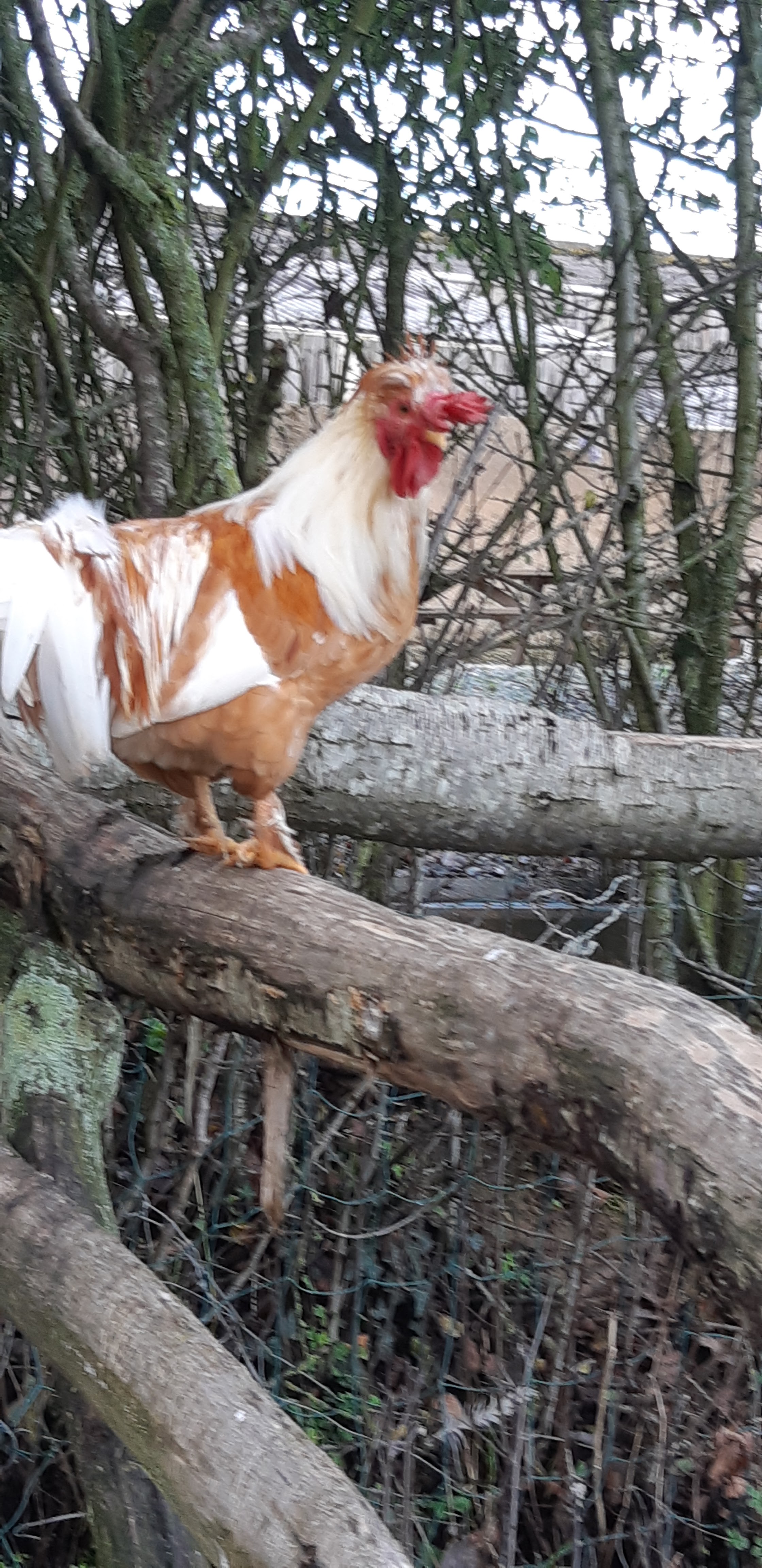 Photo n° 7 de l'avis de Yannick.a fait le 27/10/2019 à 14:17