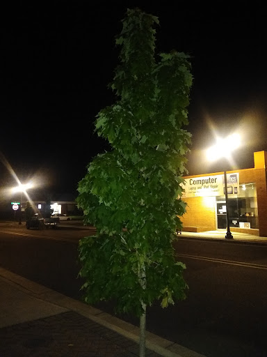 Auto Repair Shop «Willamette Auto Repair», reviews and photos, 625 N 1st St, Woodburn, OR 97071, USA