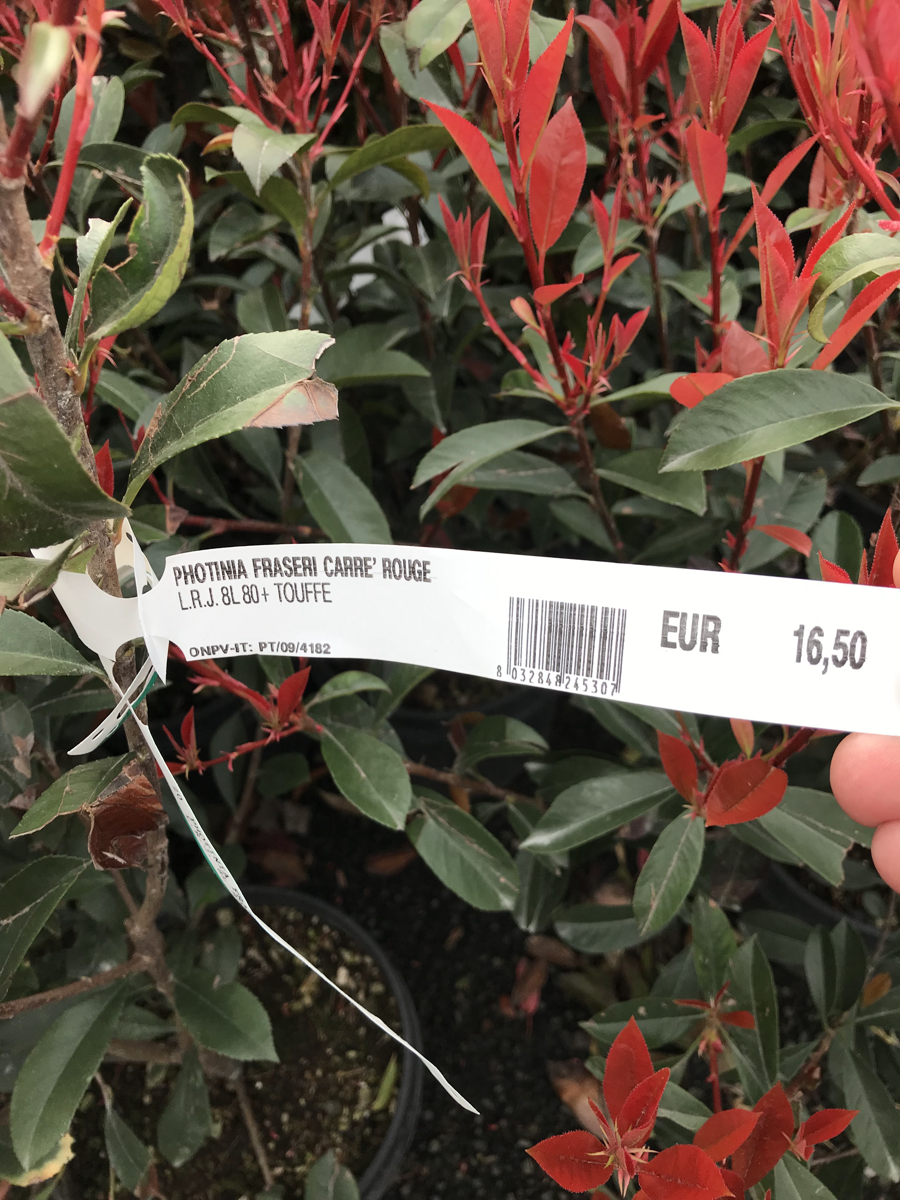 Photo n° 4 de l'avis de david.l fait le 10/08/2019 à 10:27