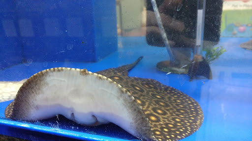 Shopping Mall «Chester Shopping Mall», reviews and photos, 23 W Main St, Chester, NJ 07930, USA