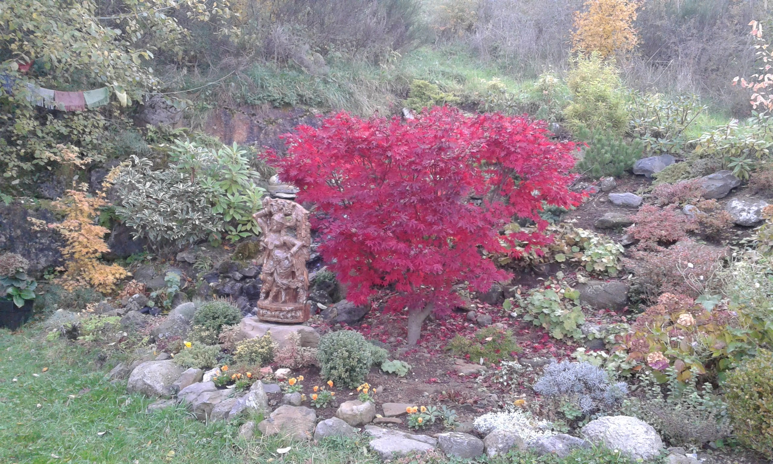 Photo n° 2 de l'avis de Michelle. fait le 21/04/2023 à 06:48