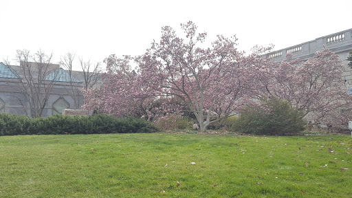 Museum «Smithsonian National Museum of African Art», reviews and photos, 950 Independence Ave SW, Washington, DC 20560, USA