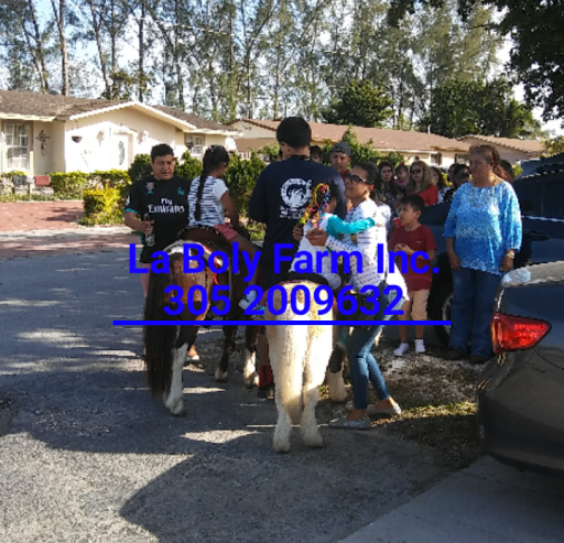 Private School «Big Star Daycare», reviews and photos, 4240 W 12th Ave, Hialeah, FL 33012, USA