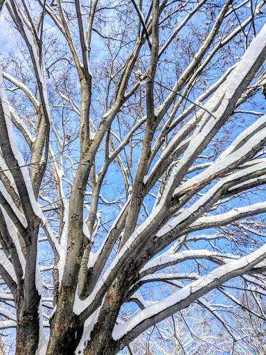 Park «Meridian Hill Park», reviews and photos, 2400 15th St NW, Washington, DC 20009, USA