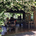 Photo n°2 de l'avis de Hansjörg.c fait le 25/06/2023 à 18:15 sur le  Grotto Al Mater Restaurant à Cannobio