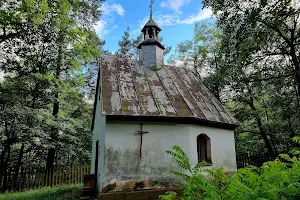 Kręgi Kamienne Nature Reserve image