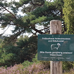 Photo n°7 de l'avis de Sylvia.e fait le 21/08/2022 à 12:15 sur le  Der Schafstall - Das Café-Restaurant im Büsenbachtal à Handeloh