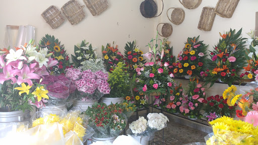 Florería Angelito – Temixco