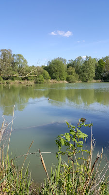 Reserve Ornithologique à Mont-Bernanchon