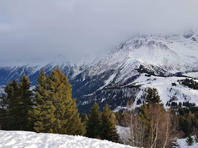 Mont Blanc Manutention Saint-Gervais-les-Bains
