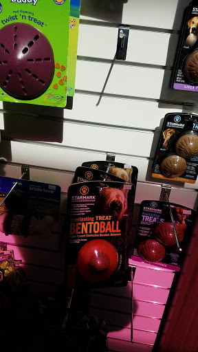 Animal Shelter «One of A Kind Pet Rescue», reviews and photos, 1929 W Market St, Akron, OH 44313, USA