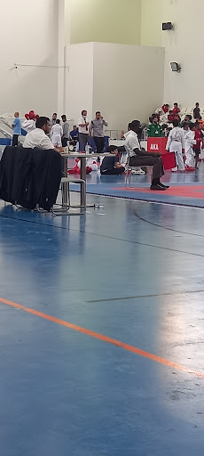 استاد نادي هجر 