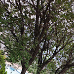 Photo n°9 de l'avis de utun.r fait le 29/06/2021 à 21:10 sur le  Lido Schenna à Schenna