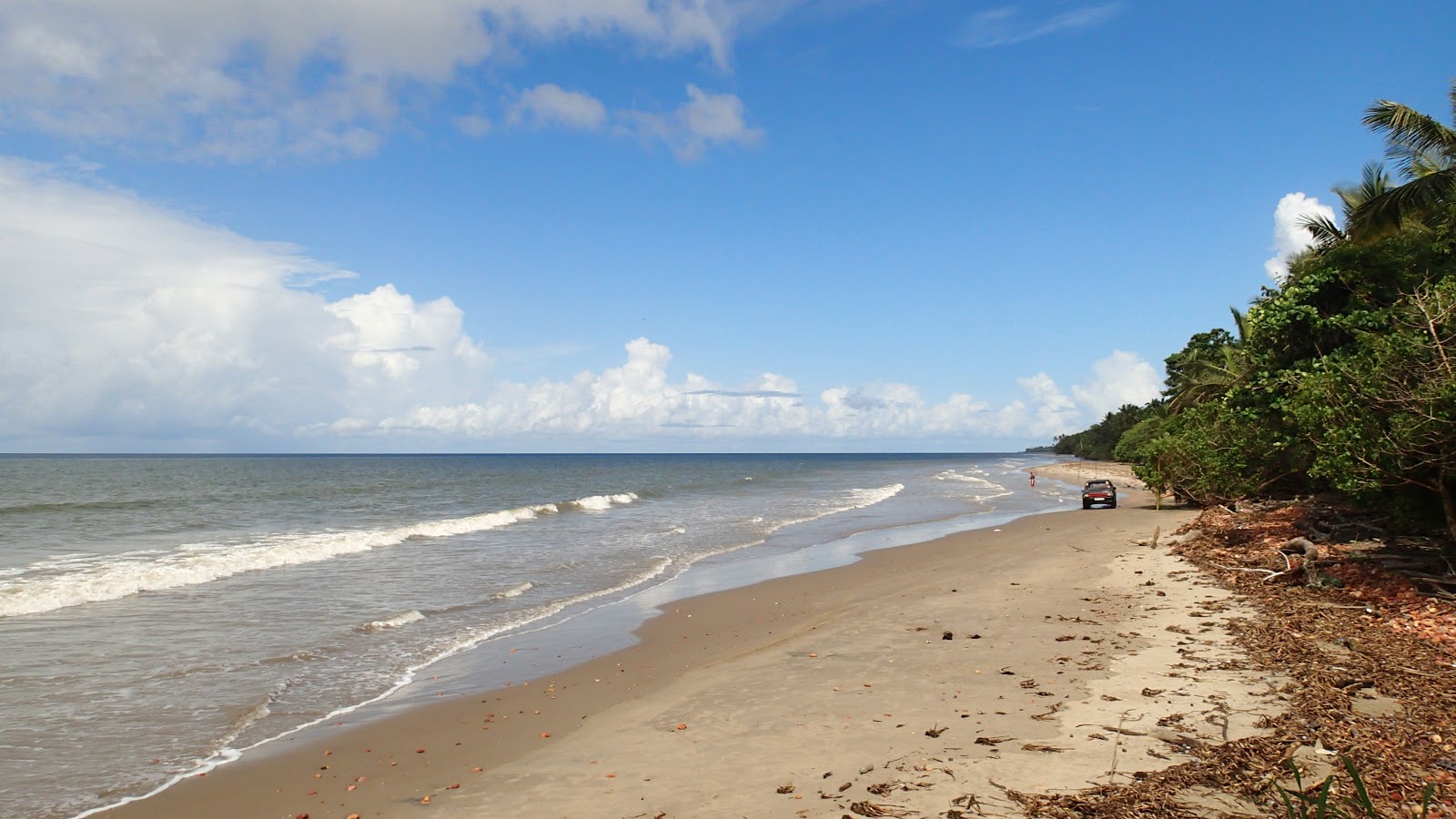 Fotografija Chatham beach z svetel pesek površino