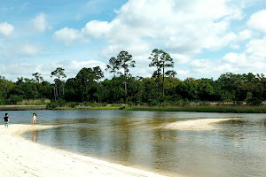 Weeks Bayou Nature Trail