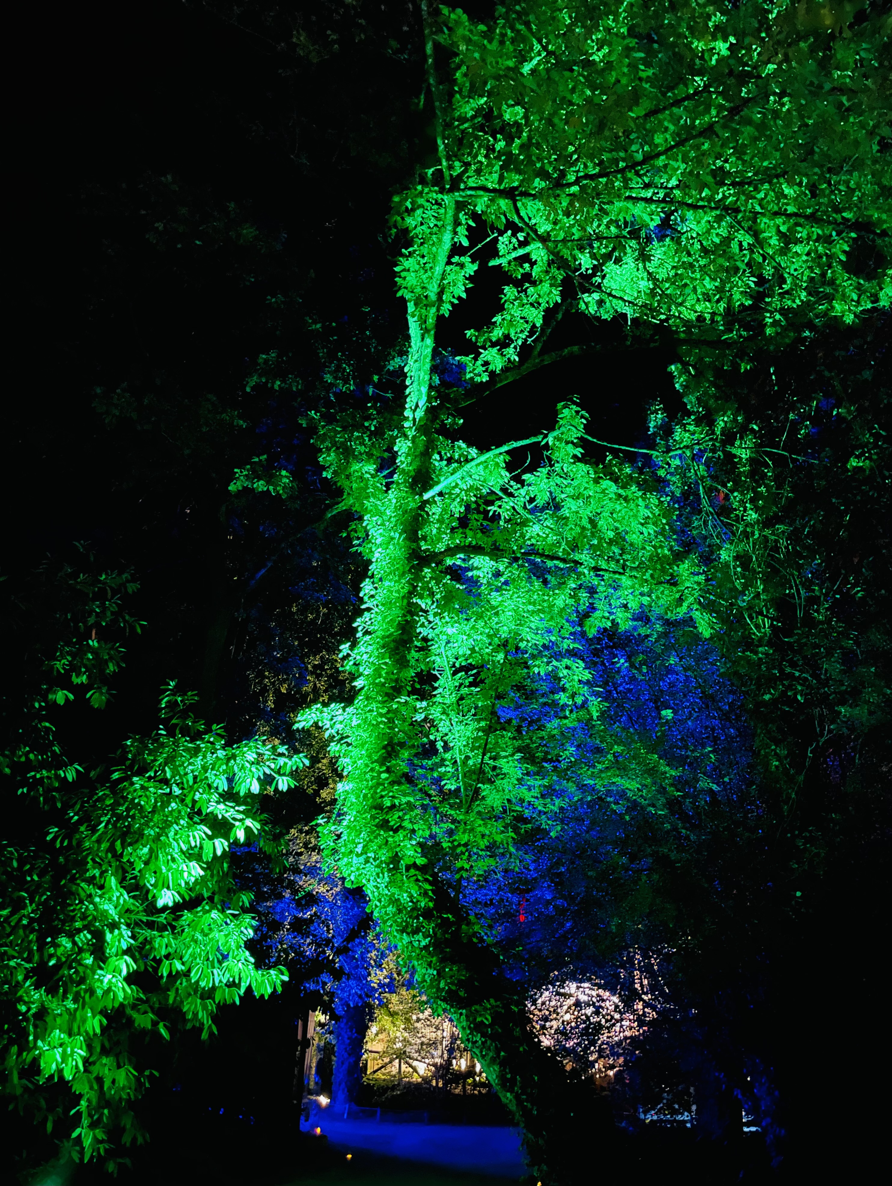 Photo n° 1 de l'avis de Timothée.R fait le 14/08/2023 à 14:58