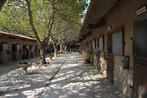 Centre Equestre Les Plaines