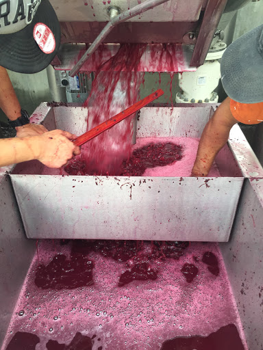 Winery «Stephen & Walker Winery», reviews and photos, 243 Healdsburg Ave, Healdsburg, CA 95448, USA