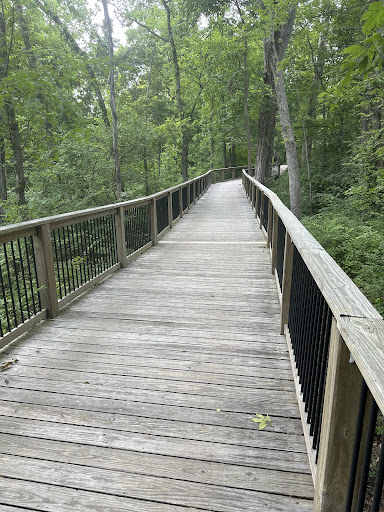 Riparian Trail