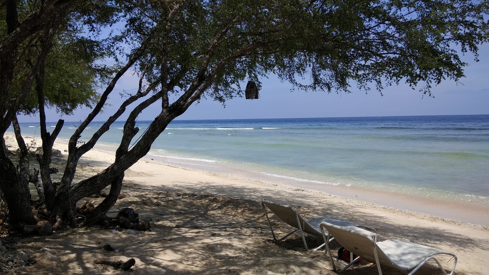Gili Trawangan Turtle Shore photo #8