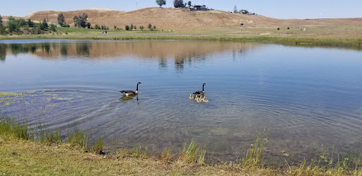 Golf Course «Dragonfly Golf Club», reviews and photos, 43369 Avenue 12, Madera, CA 93636, USA