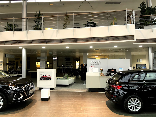 Opinii despre Euro Tehno Group Pitesti - Dealer Volkswagen, SEAT, Service autorizat Volkswagen, Audi, SEAT, SKODA în <nil> - Service auto
