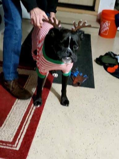 Pet Supply Store «Paddywack», reviews and photos, 15407 Main St #101, Bothell, WA 98012, USA