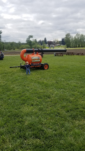 Amusement Center «Maris Farms», reviews and photos, 25001 Sumner Buckley Hwy, Buckley, WA 98321, USA