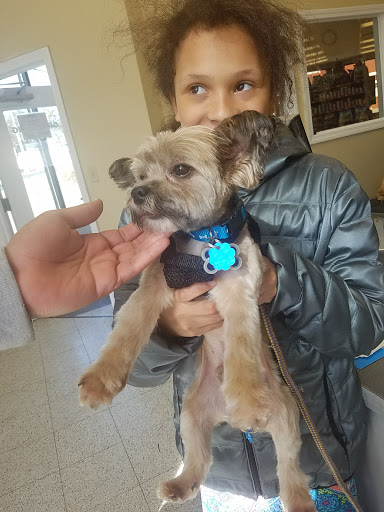 Pet Supply Store «Petco Animal Supplies», reviews and photos, 682 Broadway #1n, Saugus, MA 01906, USA