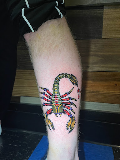 Explore triquetra tattoo ideas, creative tattoo ideas in Talbott, available at Alpha Tattoo co.