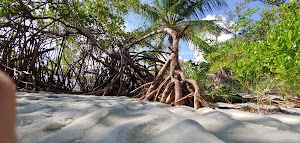 Hobe Sound Nature Center - photo 37
