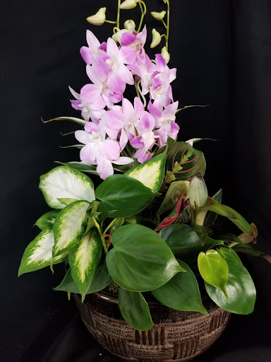 Florist «Fairview Flower Shop», reviews and photos, 1026 Sycamore Dr, Decatur, GA 30030, USA