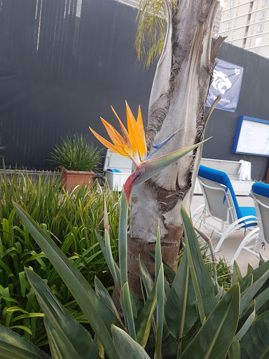 Sports Complex «Bay Club at the Gateway», reviews and photos, 370 Drumm St, San Francisco, CA 94111, USA