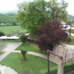 Photo n°18 de l'avis de Riccardo.o fait le 18/05/2019 à 21:48 sur le  Ristorante Il Casale Di Villa Battistini à Contigliano