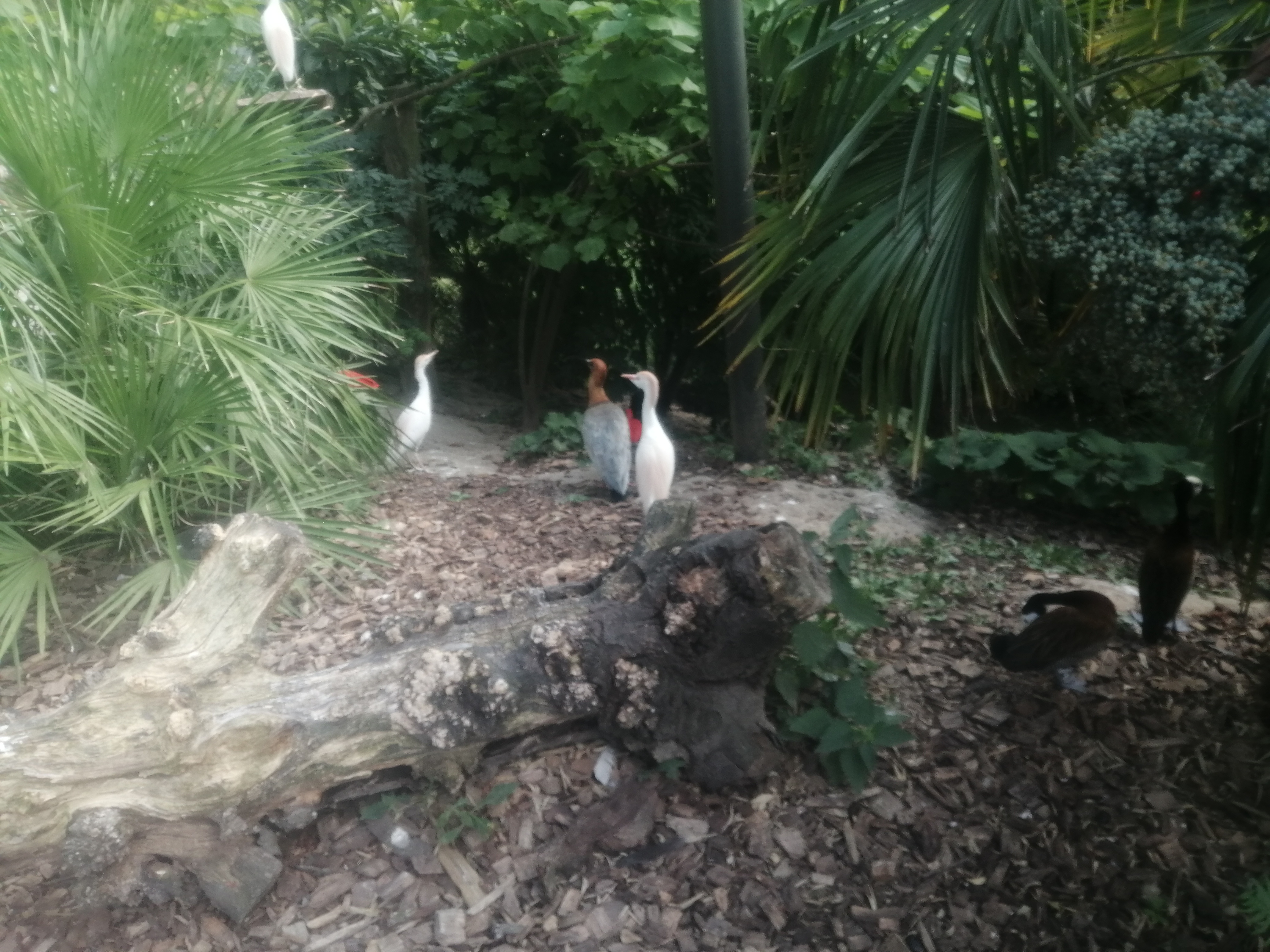 Photo n° 5 de l'avis de Paul.o fait le 08/08/2020 à 16:49