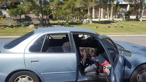 Cemetery «Palm Northwest Mortuary & Cemetery», reviews and photos, 6701 N Jones Blvd, Las Vegas, NV 89131, USA