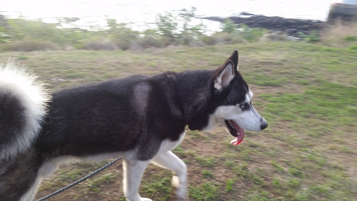 Campground «Winter Island Park», reviews and photos, 50 Winter Island Rd, Salem, MA 01970, USA