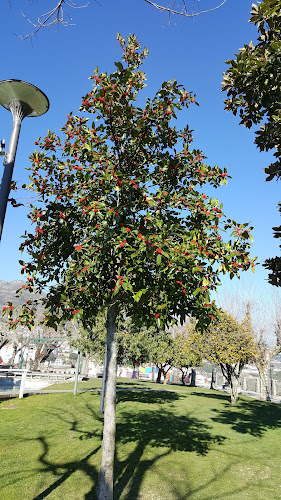 Jardim Público da Covilhã - Campo de futebol