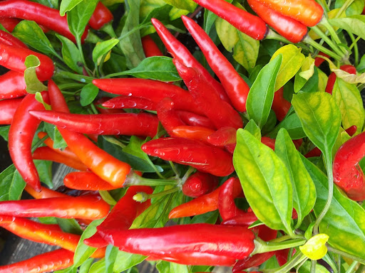 Grocery Store «Red Top Farm Market», reviews and photos, 1801 NJ-70, Southampton Township, NJ 08088, USA